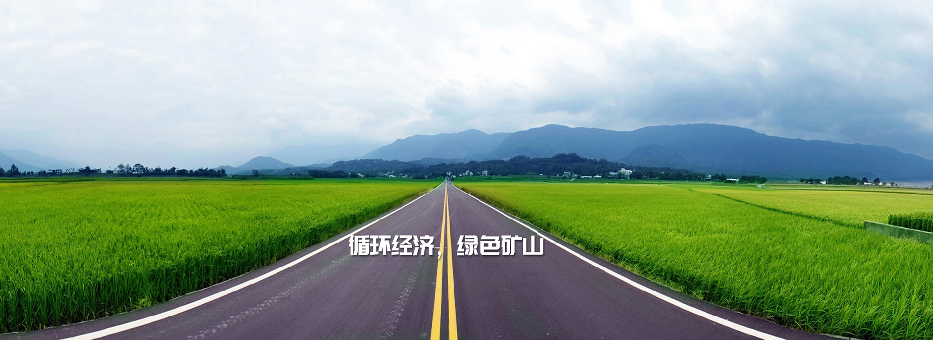 眾多合作案例